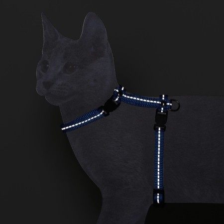 Cat for cats, width 1 cm, reflective, Osh 16.5-27 cm, fire 21-35 cm, blue-1