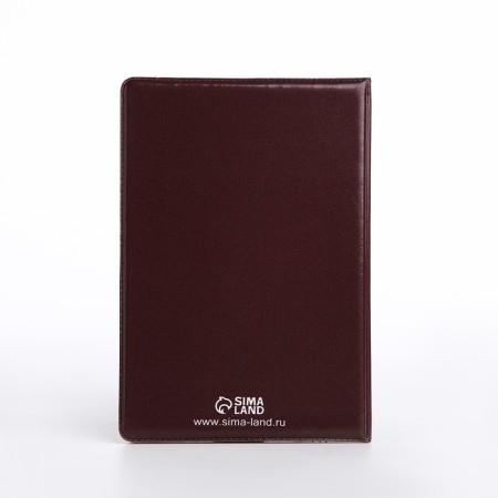 Cover for passport, burgundy color-2