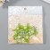 Decor for creativity wood "frog" set of 5 pcs 3.4x3 cm