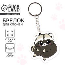 Key keychain 