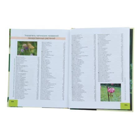 Large illustrated encyclopedia of medicinal plants. Author: Ilyina T.A.-4