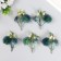 Flowers for decorating "Echinops with berries" Green 8 cm