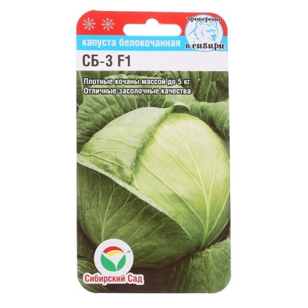 White cabbage seeds "SB-3", F1, 25 pcs.