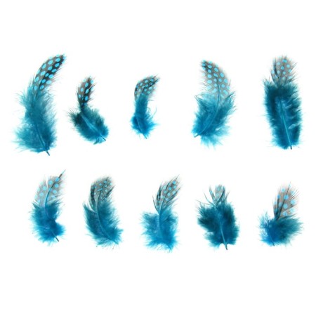A set of feathers for decor 10 pcs., Size 1 pc: 5 × 2 cm, turquoise color with black