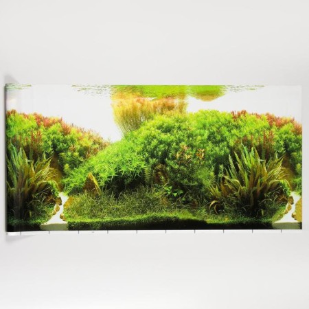 Background for aquarium, 50 cm, roll 25 m