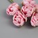 Decor for creativity "peonies" white-pink (1 set = 1 bouquet) in the bouquet 6 pcs 2.5x10.5 cm
