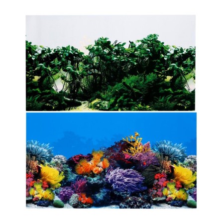 Background for the aquarium bilateral, 30 x 50 cm