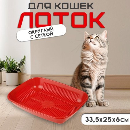 The toilet is rounded with a mesh of 33.5 x 25 x 6 cm, red/t. red, mix