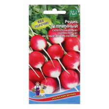 Seeds Radis 