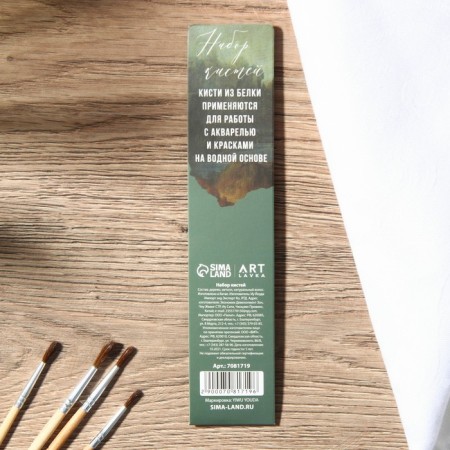 Drawing brush set 4 pcs. Protein "True Art" No. 1, 2, 3, 4-1