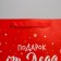 Package Laminated Vertical “Gift from Santa Claus”, M 26 x 30 x 9 cm, New Year