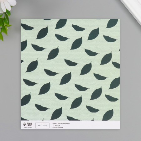 Scrapbooking paper bilateral "avocado" density 180 grams set 10 pcs 15.5x17 cm-3