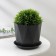 Pot for flowers with a prism palm, 1 l, graphite color