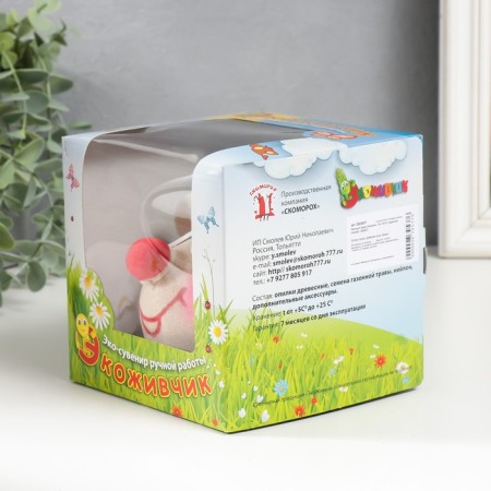 Growing gift Eco -Zhizhivchik "Hedgehog" MIX Gift packaging-5