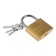 The castle of the hinged type 14, 63 mm, 3 keys