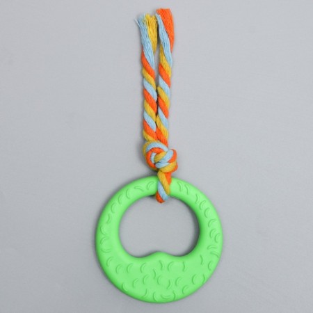 Chewing toy with a rope "Girya", green-1