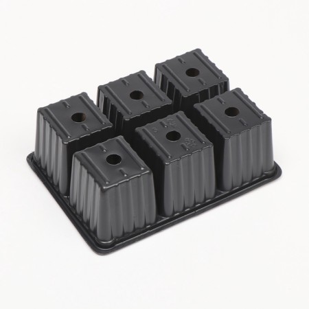 Cassette for seedlings, 6 cells of 120 ml, set of 5 pcs., Black-8
