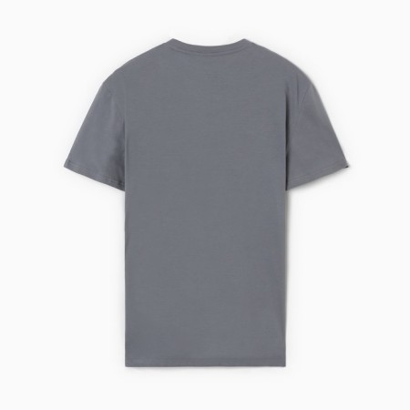 T-shirt male, gray color, river 50-3