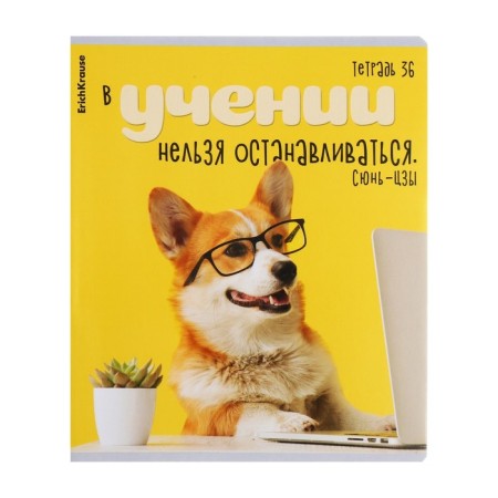 Notebook of 36 sheets in the Erichkrause Cage "Scientific Dogs", cover Combined Cardboard, Offset Block, Mix-1