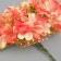 Decorative flower for the creativity of "chrysanthemum" white
