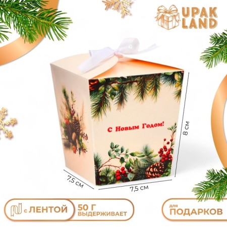 New Year. Bonbonniere, New Year's gift packaging "Winter cones", 7.5 × 8 × 7.5 cm.