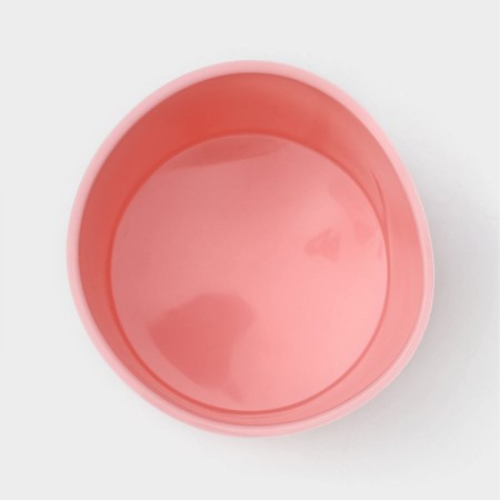 Baking “Easter cake”, silicone, 10.6 × 12.1 cm, internal d = 9.6 cm, pink color-2