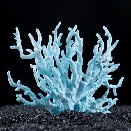 Coral Plastic Small 17 x 6 x 13 cm, blue
