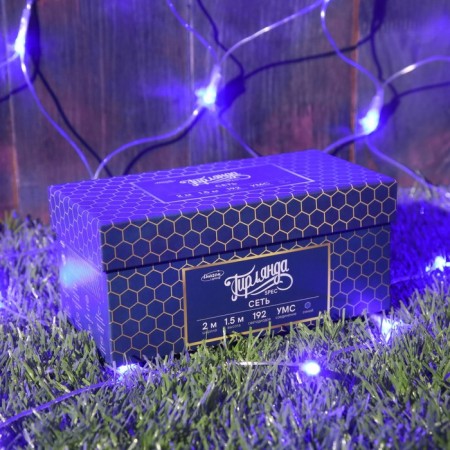 Garland "Network" 2 × 1.5 m, IP44, UMS, transparent thread, 192 LED, Blue glow, 220 V-3
