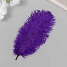 Decorative ostriches 