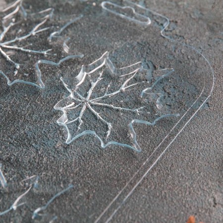 Form for chocolate and sweets plastic "maple leaves", the color is transparent-2