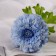 Artificial flowers "chrysanthemum lux" d-9 cm, 50 cm, blue