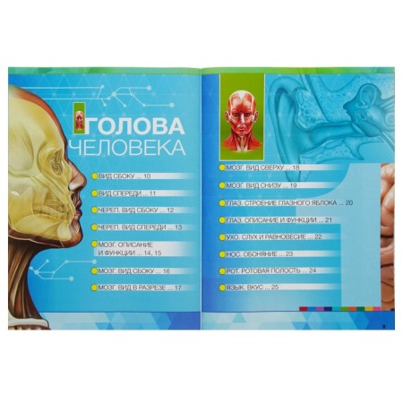 4D encyclopedia in augmented reality "Anatomy: Human organs"-4