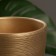 Flower “Amelia” pot of gold, 2.4 liters