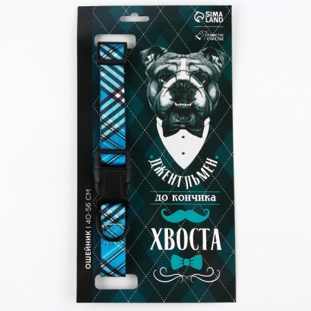 Collar "gentleman", fastener - fastx, 2.5 cm, 40-55 cm-5