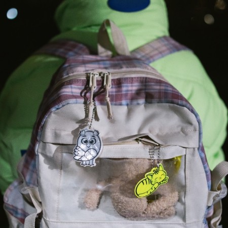 The reflective element "owl", bilateral, 4.2 × 6 cm, color mix-5