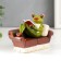 Souvenir Polystone Lak "Frog rest in a chair with a newspaper/circle" MIX 10.5x14x6 cm