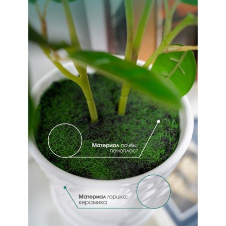 Decorative plant in a ceramic pot "Mini tree", 13.5 × 13.5 × 61 cm-3