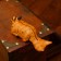 Souvenir tree "Kitten Ginger is peeping" 11x8x4.5 cm