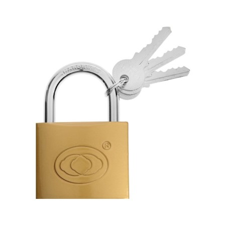 The castle of the hinged type 14, 63 mm, 3 keys-2