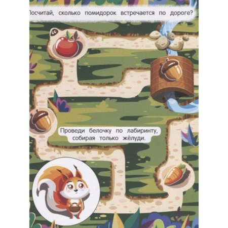 In the forest: Harmosk book (long labyrinths)-1