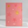 Gift set Diary, paper block and the pen “The smallest”