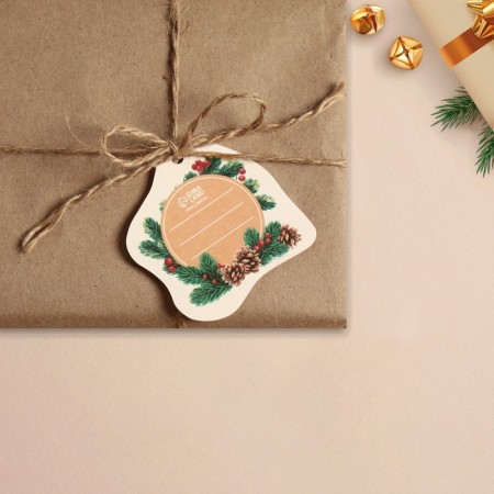 Schildik for a gift New Year "Snegier", 6.5 x6.3 cm, New Year-2