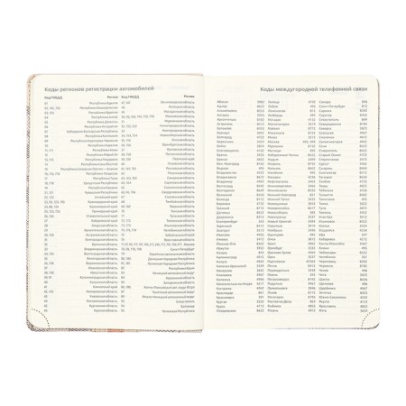 Dated 2025 DATA A5 168 sheets, DEVENTE. Expert, integral cover to leatherette, pocket, perforation, liesse, cream block 70 g/m2, gray-9