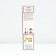 Seedling rose soil -cover "Red Fayry", tube, 1 pc, spring 2025