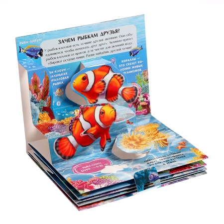 Set "Pocket Pop-up Encyclopedia", set No. 2-5