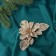 Christmas tree decoration "Flowers with luster leaves" (set 2 pcs) on clamps, 10.5x13 cm, gold