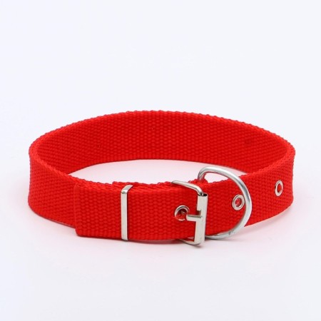 Animal collar-1