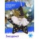 New Year's decoration, pendant "Starfish" color black