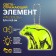 The reflective element "Bear", bilateral, 5.5 × 4.2 cm, color mix
