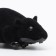 Barrow mouse, 12 cm, black